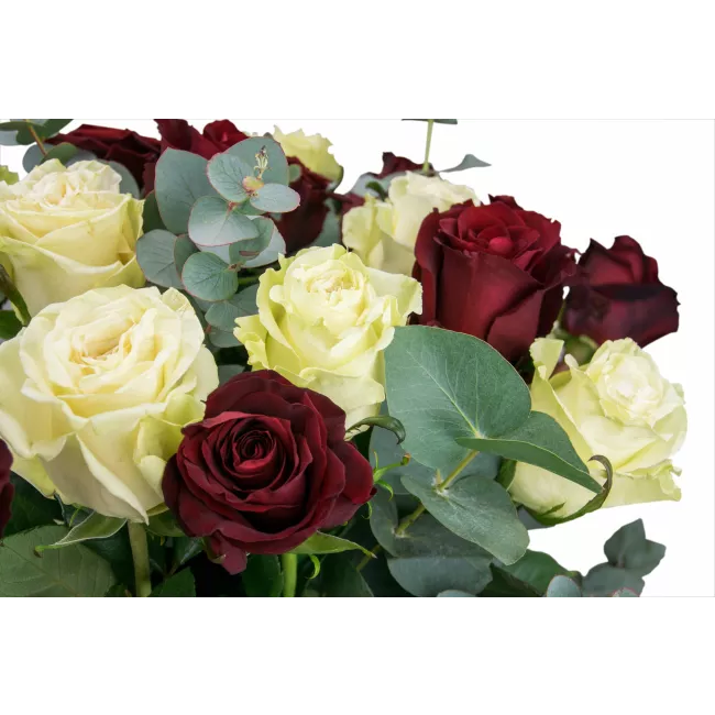 Kytice ekvádorských růží 80 cm